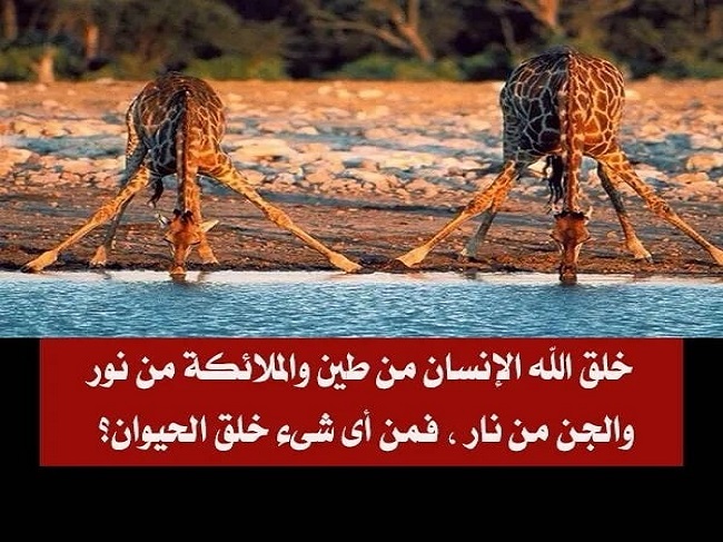 خلق الله الملائكة من